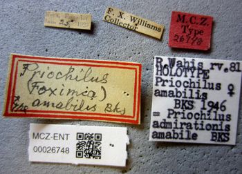 Media type: image;   Entomology 26748 Aspect: labels
